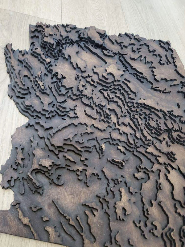 Arizona Topographical Map - Layered Wood Sign